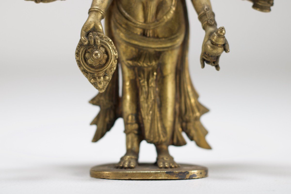 Vishnu Lakshmi-narayana.-photo-3