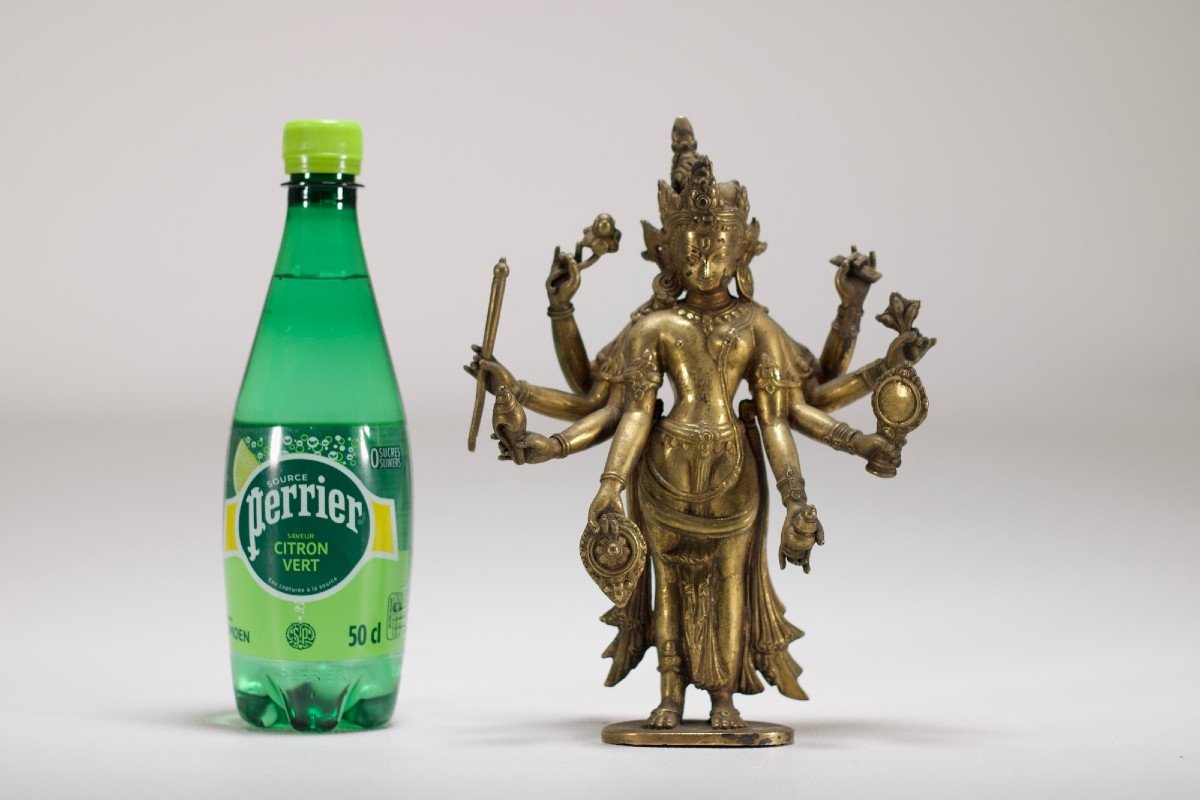 Vishnu Lakshmi-narayana.-photo-5