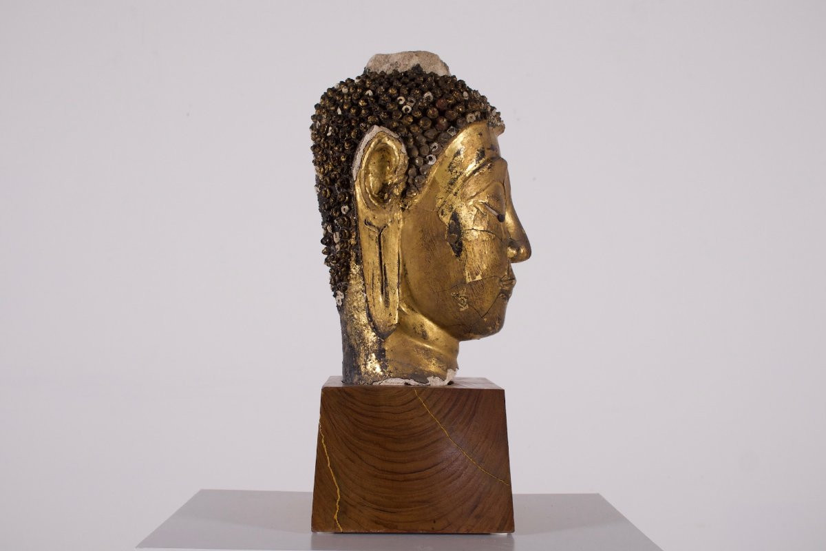 Importante tête de Bouddha en Stuc, Siam, XVII ème siècle.-photo-1