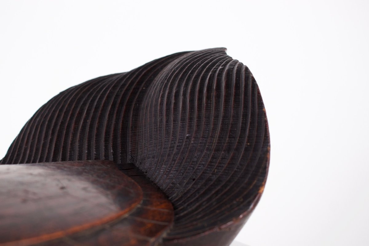 Petite sculpture de tortue en bois, Japon, époque Meiji.-photo-3
