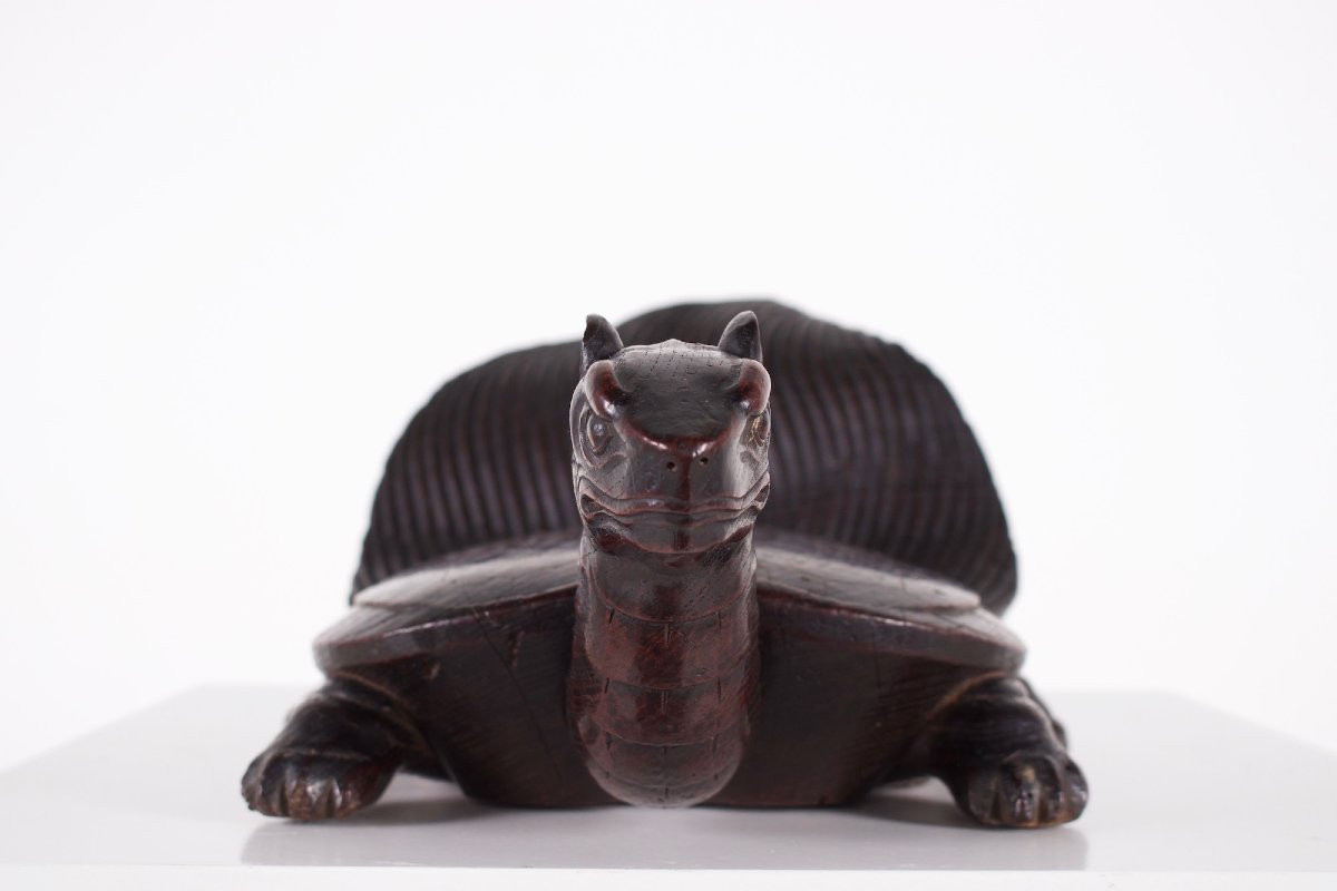 Petite sculpture de tortue en bois, Japon, époque Meiji.-photo-4