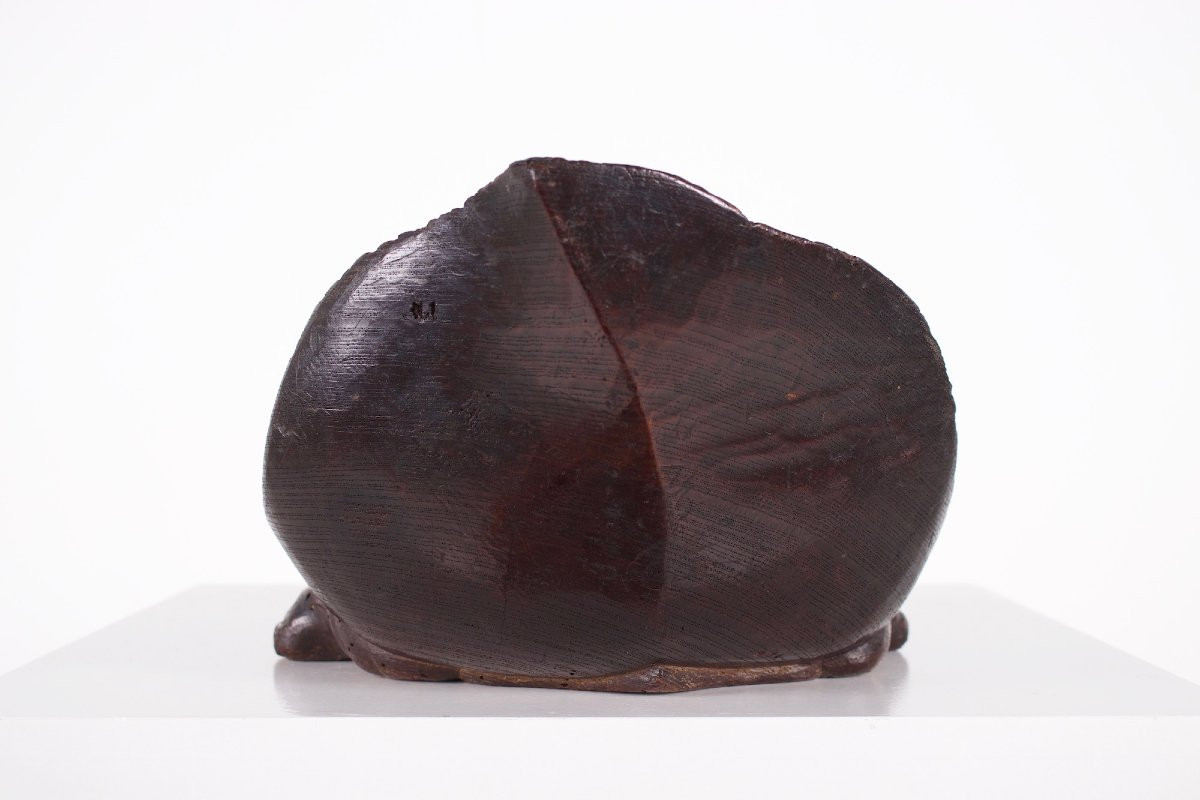 Petite sculpture de tortue en bois, Japon, époque Meiji.-photo-2