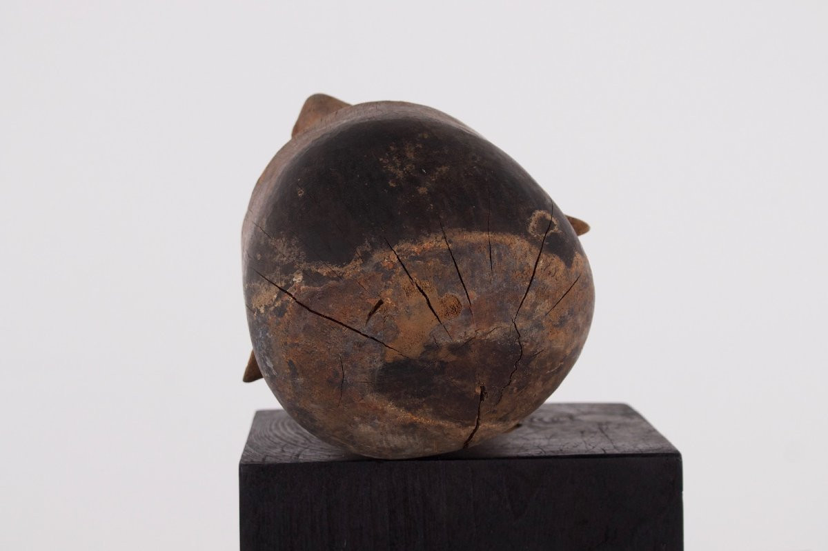 Sculpture en bois, Îles Célèbes, Indonésie, 19/20 ème siècle-photo-1