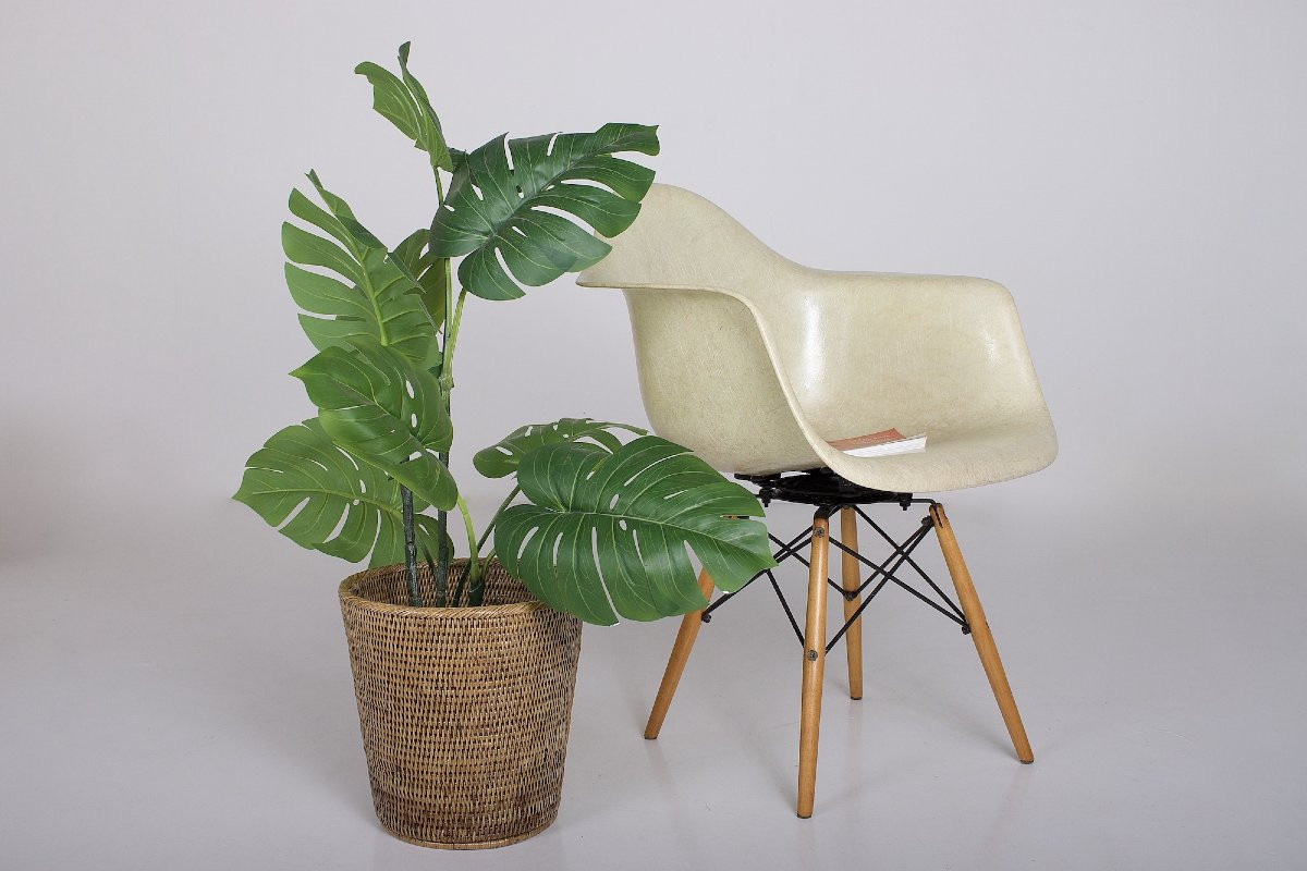 Chaises PAW Charles Eames Herman Miller et Zenith Plastics-photo-5