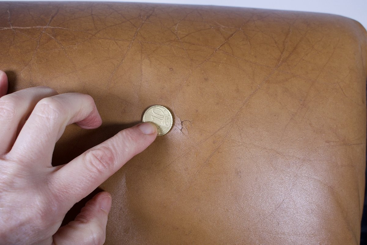 Paire de Fauteuils Rover en Cuir par Arne Jacobsen pour Asko-photo-8