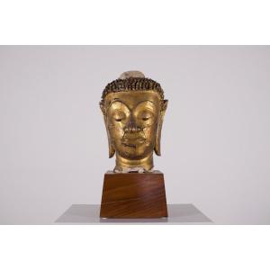 Importante tête de Bouddha en Stuc, Siam, XVII ème siècle.