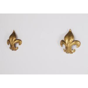 Paire d’Appliques en Fleur de Lys