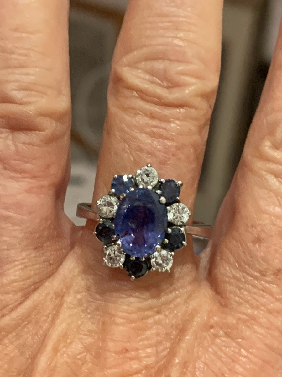 1815 – White Gold Tanzanite Sapphires Diamond Ring-photo-2