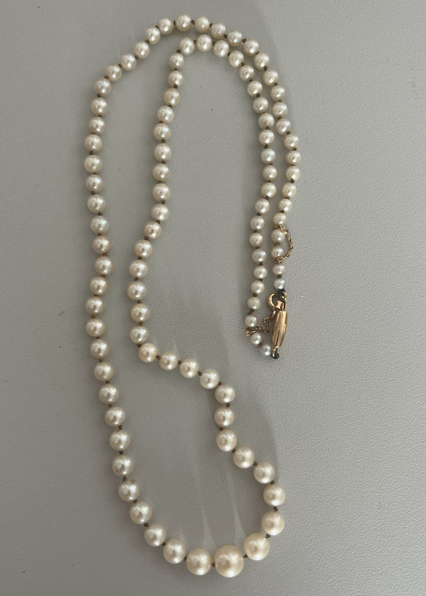 5280- Cultured Pearl Necklace With Yellow Gold Clasp