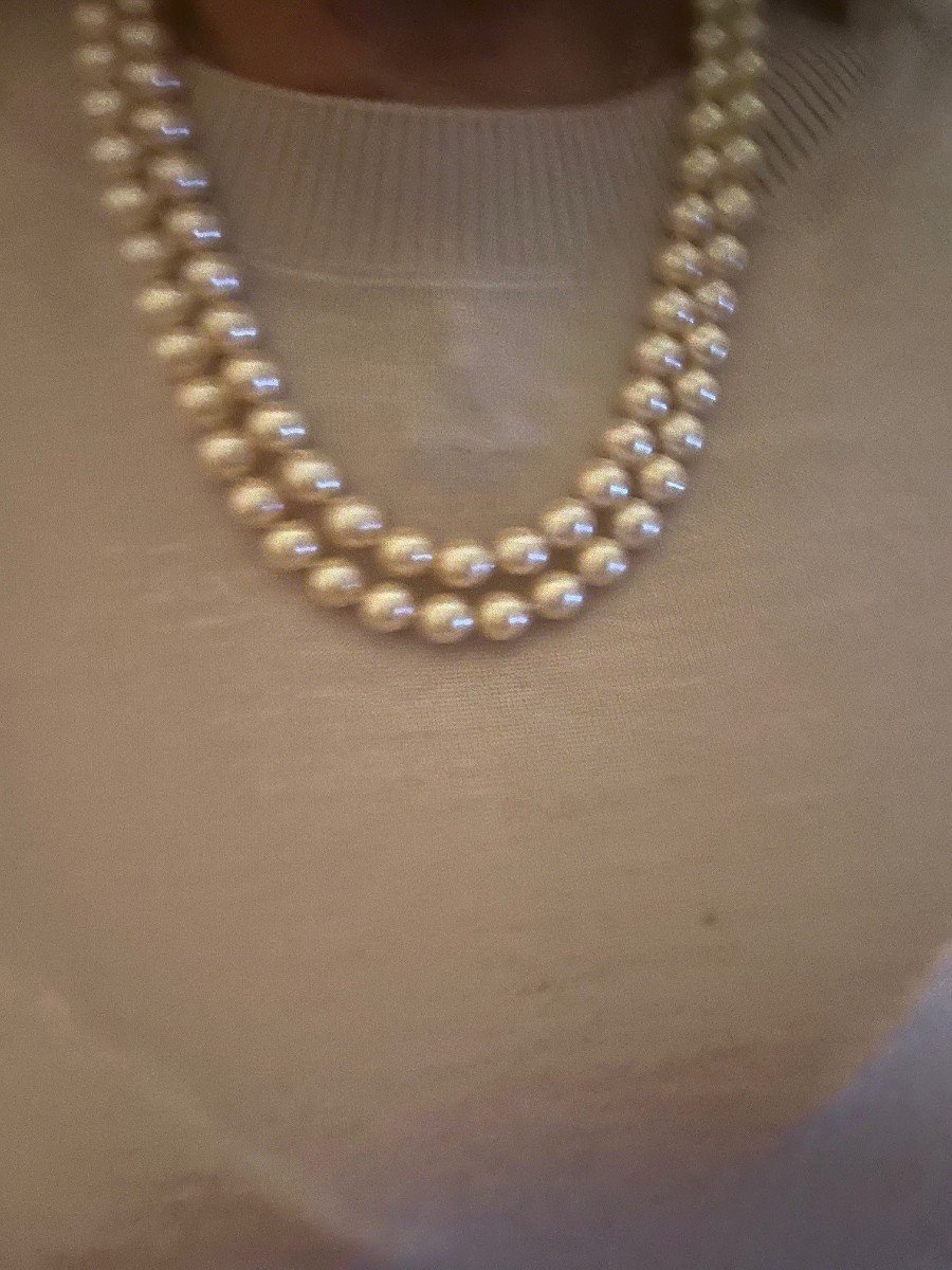 6278- 2 Row Pearl Necklace Yellow Gold Clasp Turquoise-photo-3