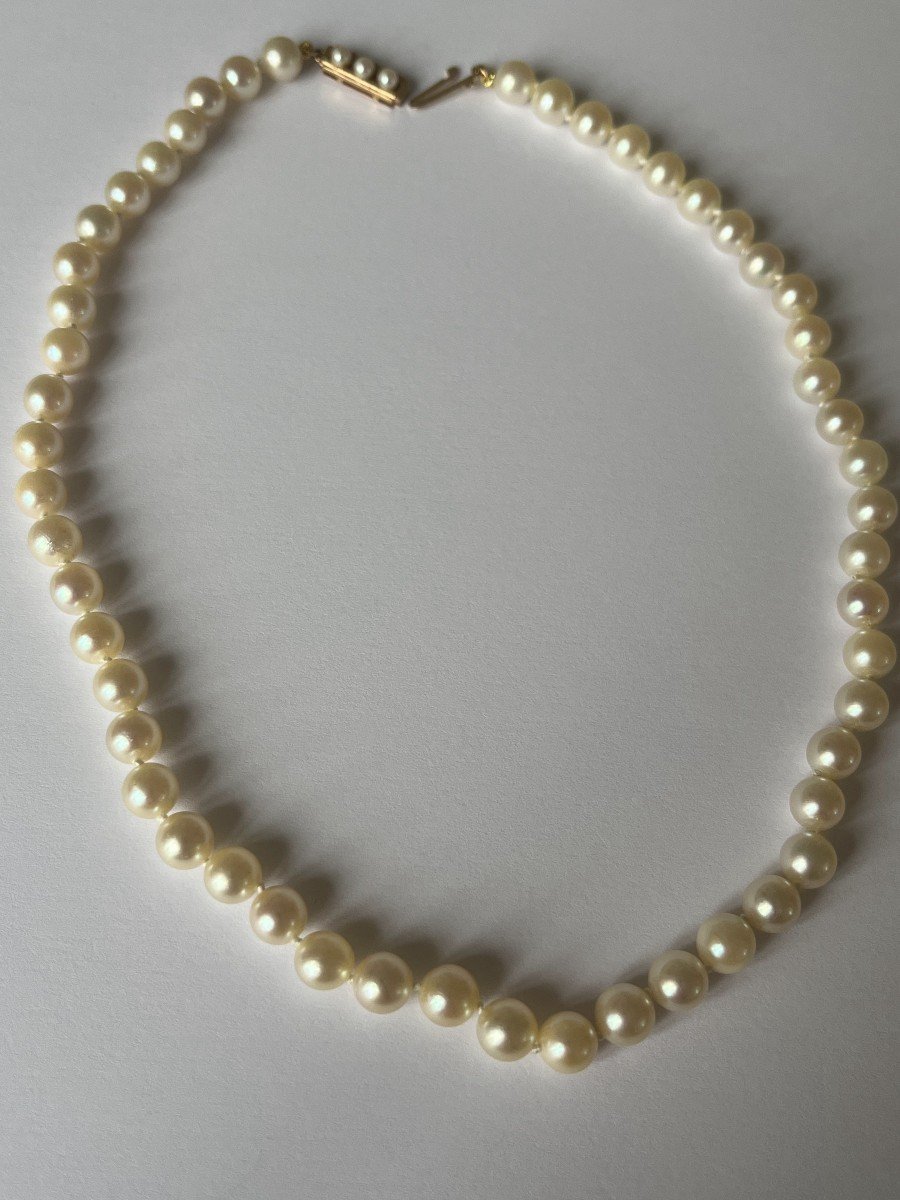 5482- Akoya Cultured Pearl Necklace Yellow Gold Clasp Pearls-photo-4