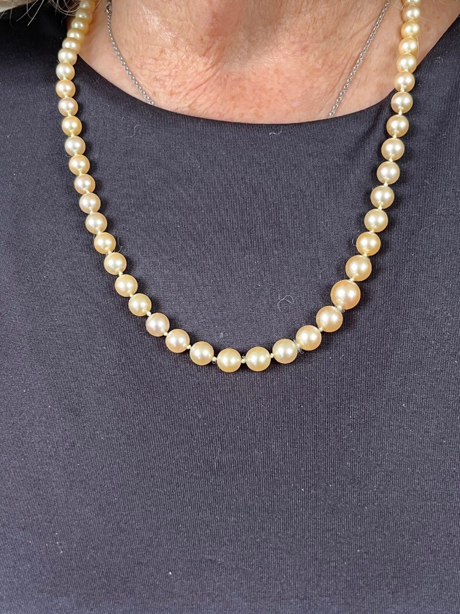 6166- Collier Perles Akoya Bel Orient Fermoir Or Jaune-photo-2