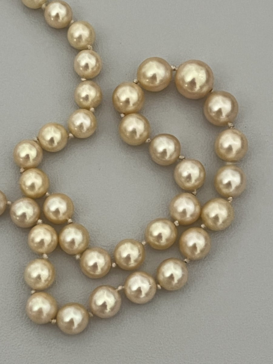6166- Collier Perles Akoya Bel Orient Fermoir Or Jaune-photo-3