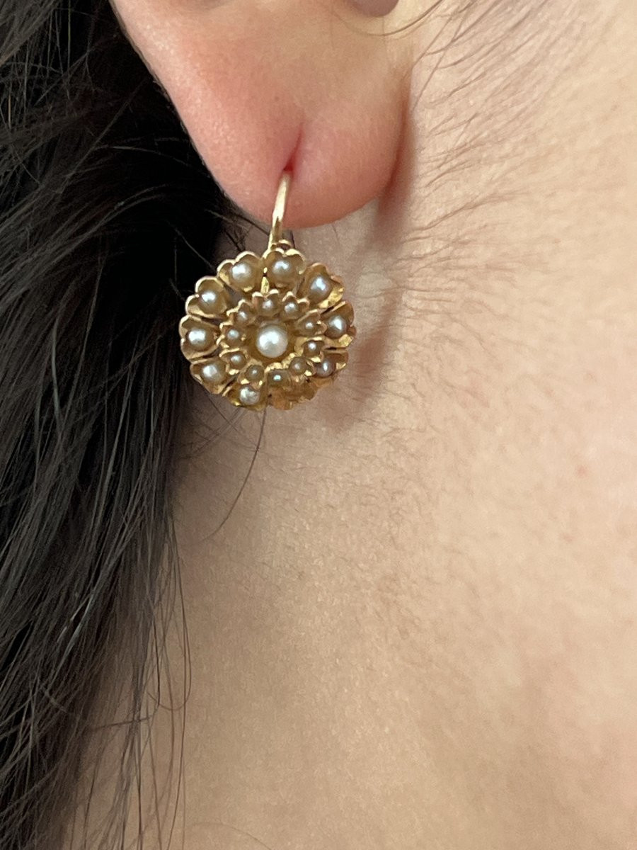6800- Yellow Gold Pearl Sleeper Earrings Late 19th Century-photo-2