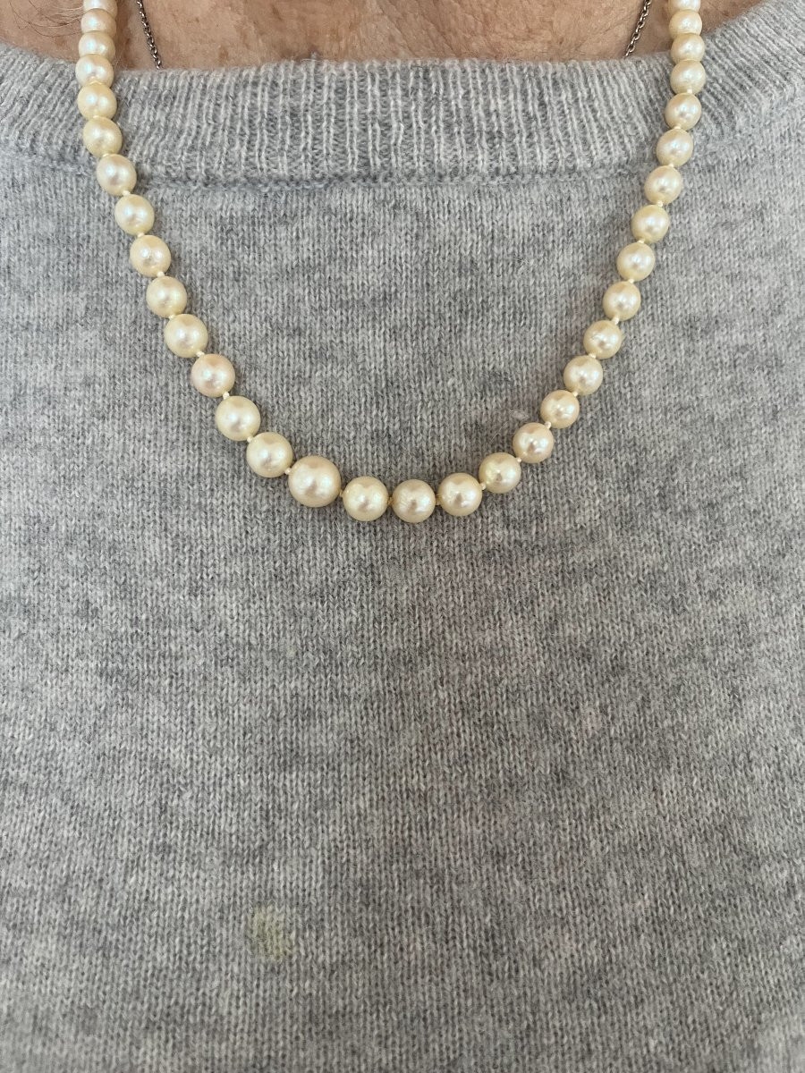 7328 - Akoya Pearl Necklace. Yellow Gold Clasp-photo-4