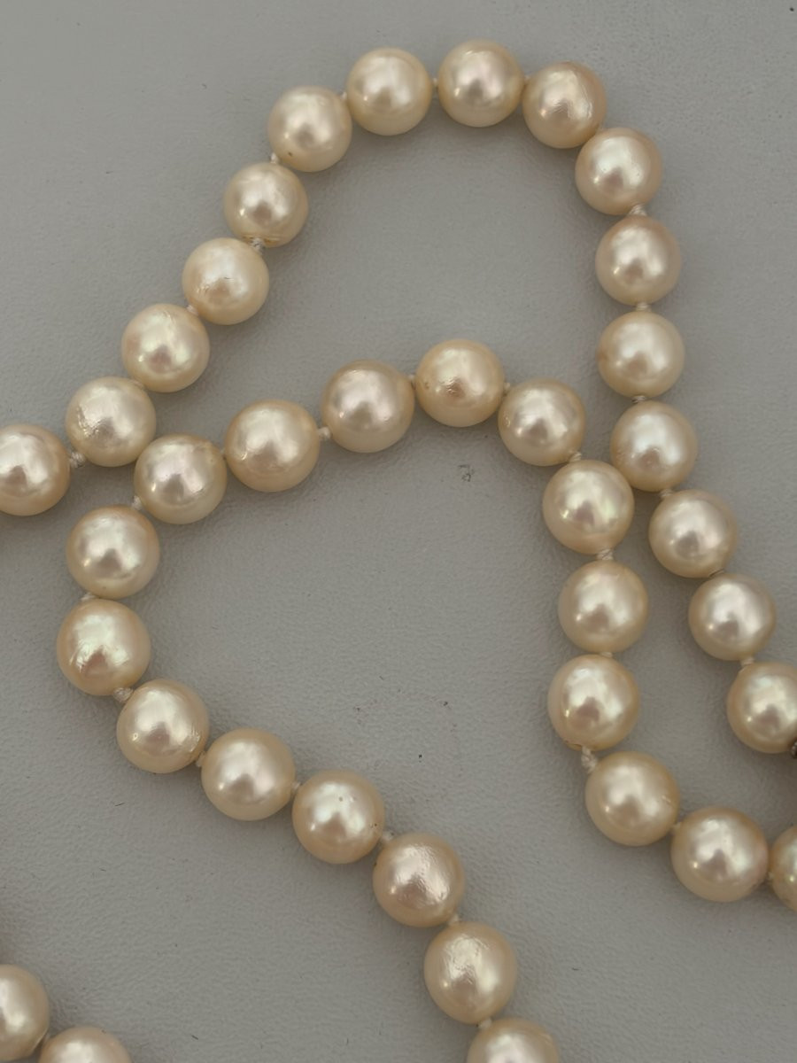 7606 - Akoya Choker Pearls Necklace-photo-2