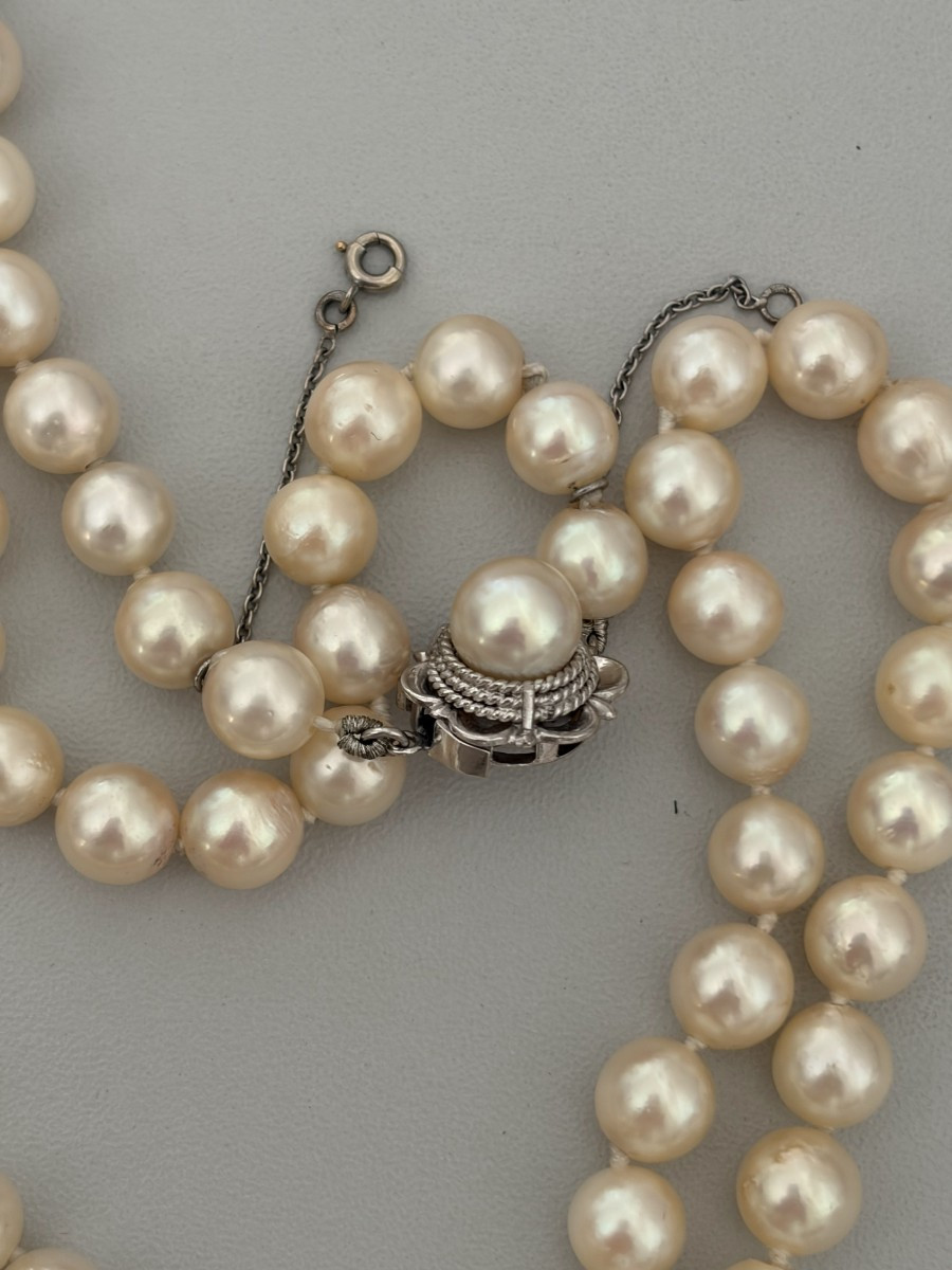 7606 - Akoya Choker Pearls Necklace