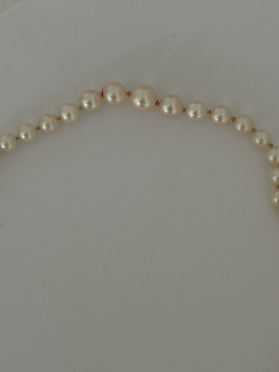 8061 - Akoya Pearl Necklace With Yellow Gold Clasp-photo-4