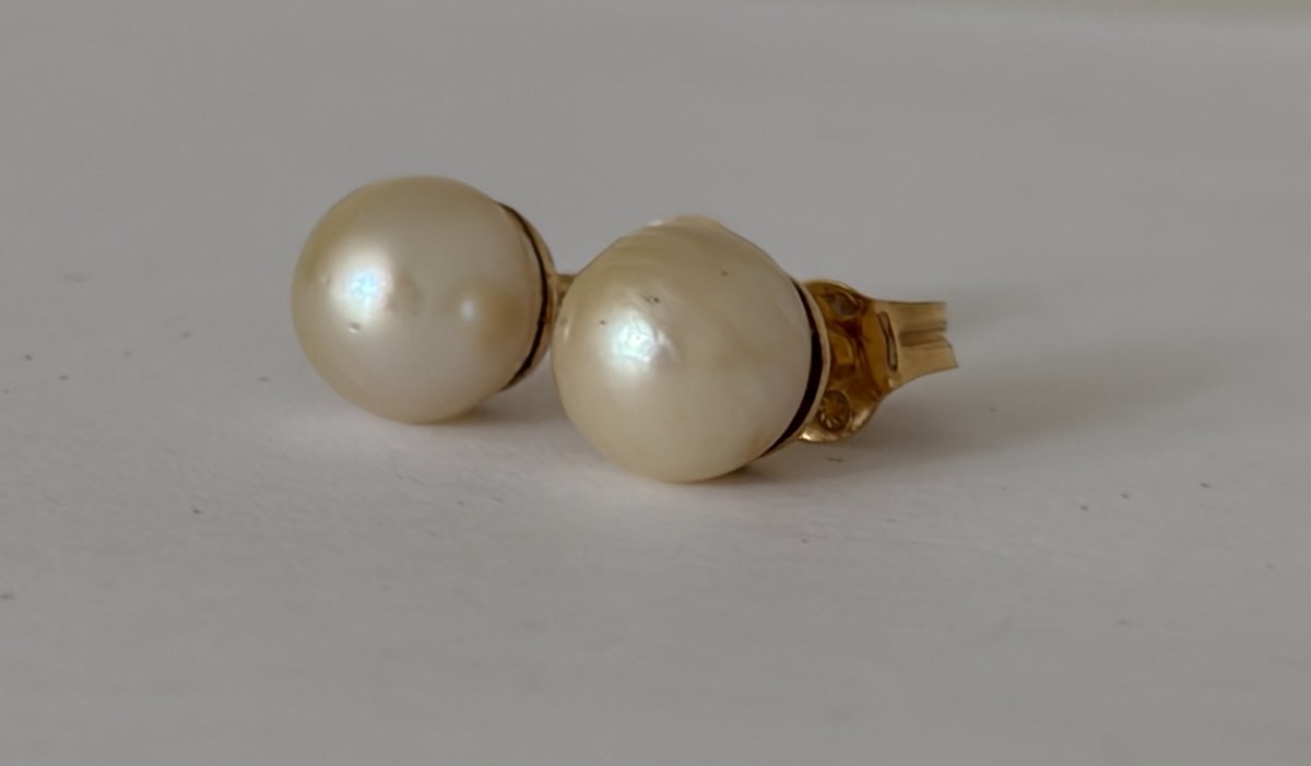 8067 - Vintage Yellow Gold Akoya Pearl Earrings