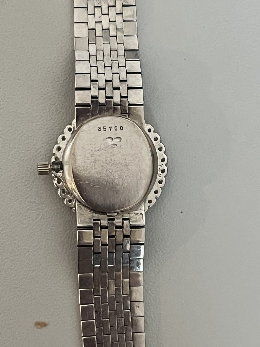 7207- Montre AUDEMARS PIGUET Or Gris Diamants-photo-2