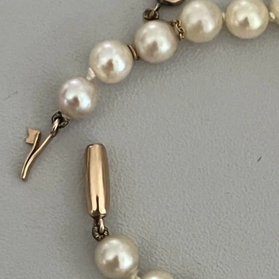 Premiere-Image-1729199