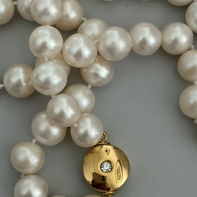 Premiere-Image-1743956