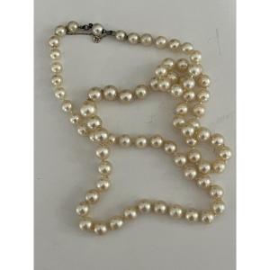 4645- Collier De Perles De Culture