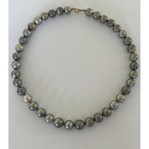 4994- Tahitian Pearl Necklace In Slight Fall 12.4 To 9.7 Mm