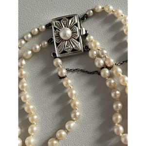 5031- 3 Rows Pearl Necklace With Gray Gold Clasp