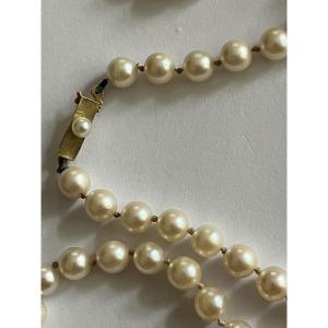 5551- Cultured Pearl Choker Necklace