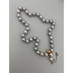 6561- Tahitian Pearl Necklace Yellow Gold Clasp