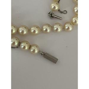 6697- Collier Choker Perles Akoya Fermoir Or Gris