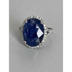 6765- White Gold Ring Ceylon Sapphire 9.66 Ct Diamonds
