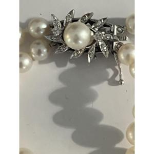 6914- Collier 2 Rangs Perles Akoya Fermoir Or Gris