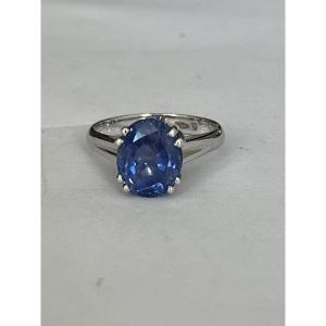 5963- Bague Or Gris Saphir Ceylan 4,60 ct