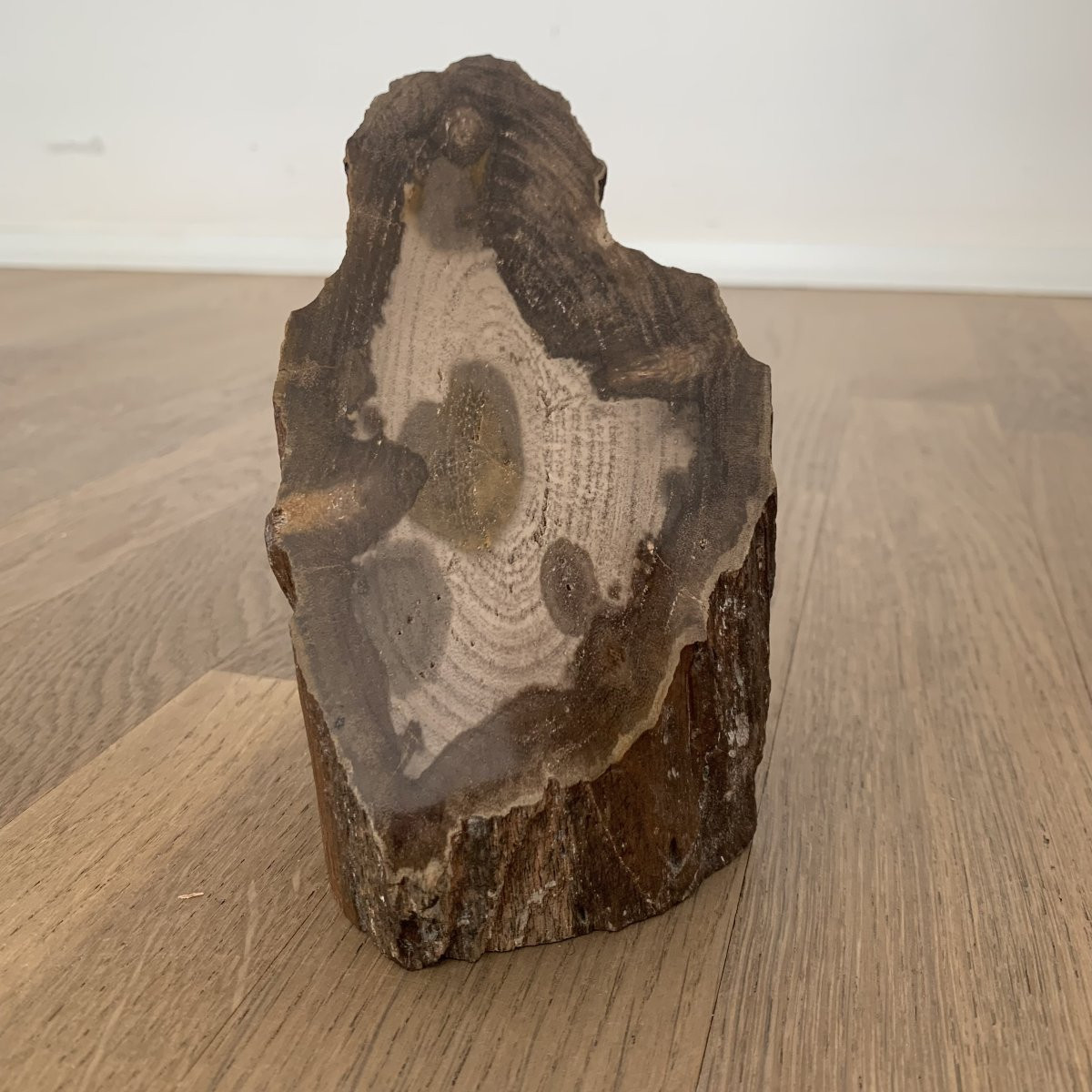 Hollywood Regency Table Lamp With Petrified Wood. -photo-5