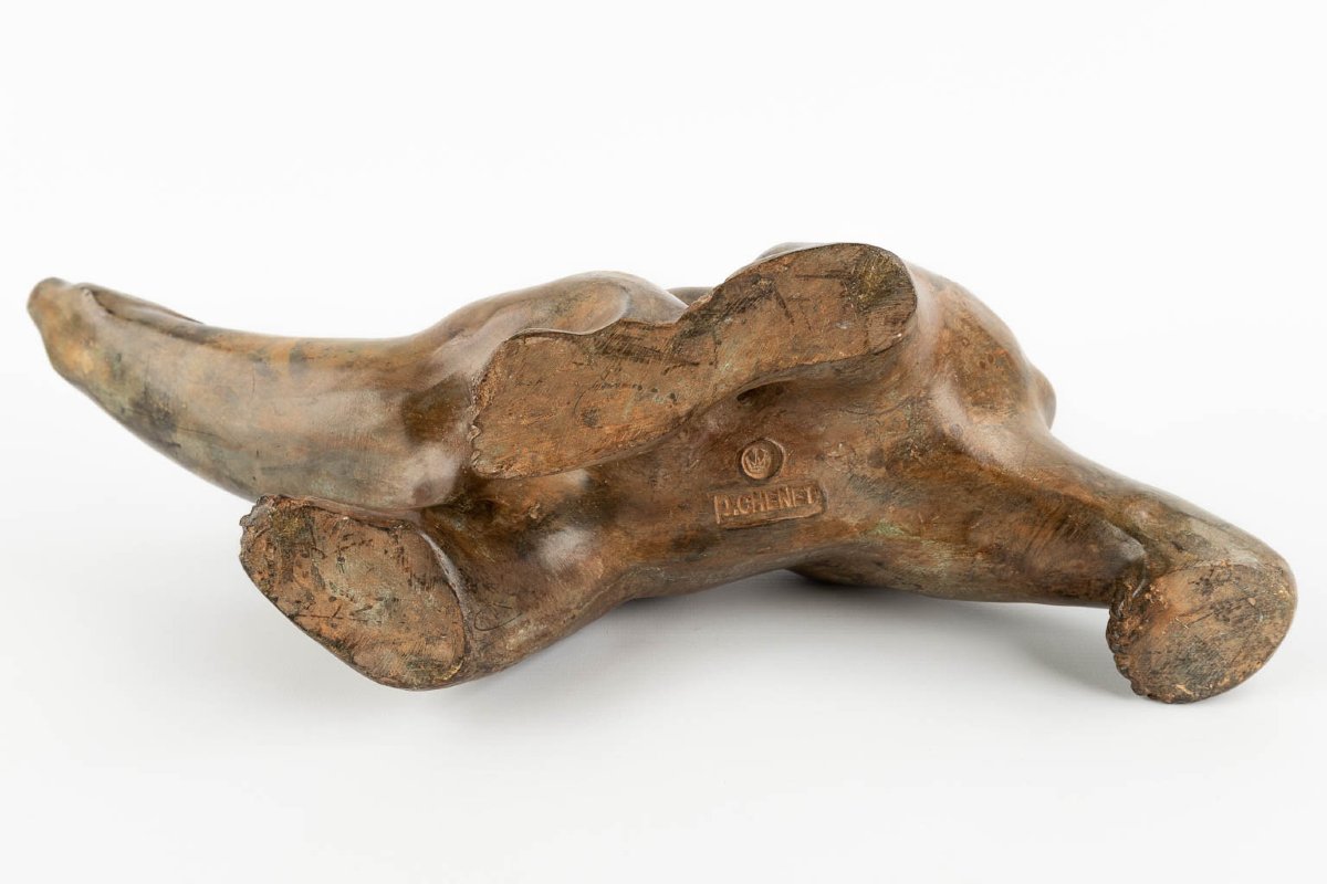 Polar Bear By Pierre Chenet-photo-2