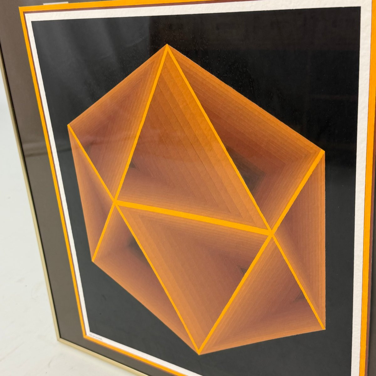 Op art « Hexagone » par Enrico-photo-3