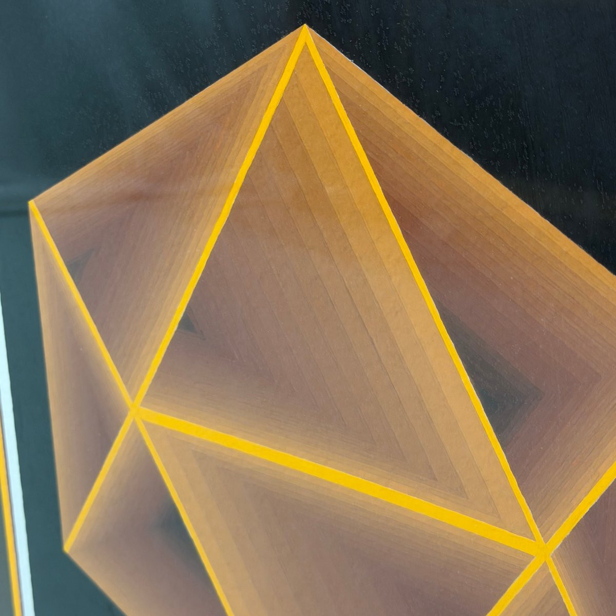 Op art « Hexagone » par Enrico-photo-4