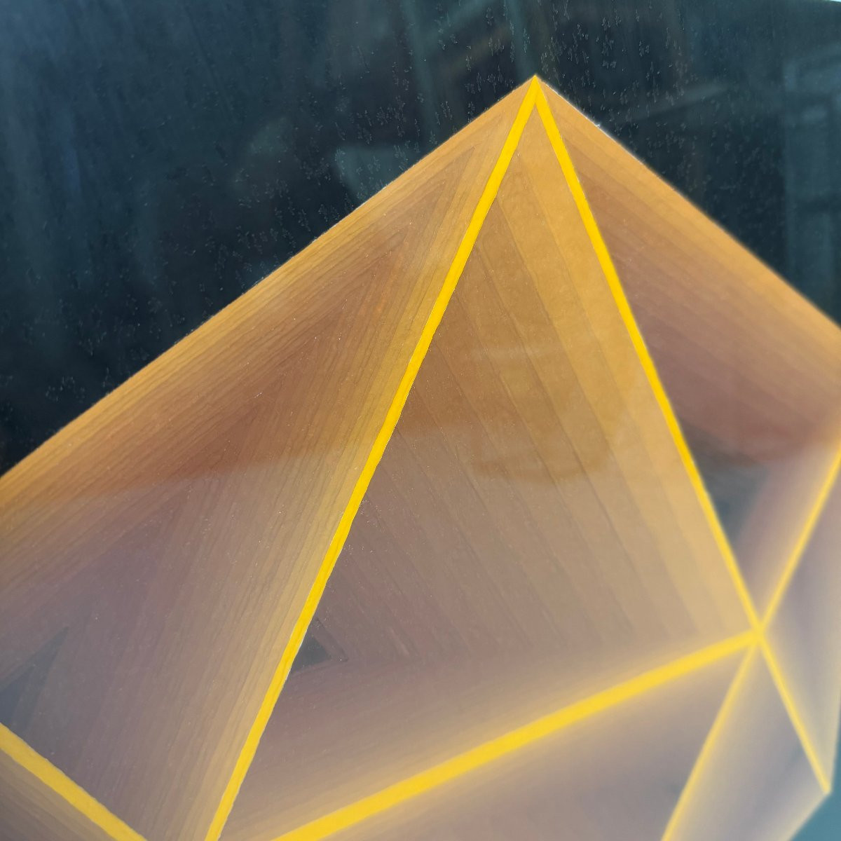 Op art « Hexagone » par Enrico-photo-4