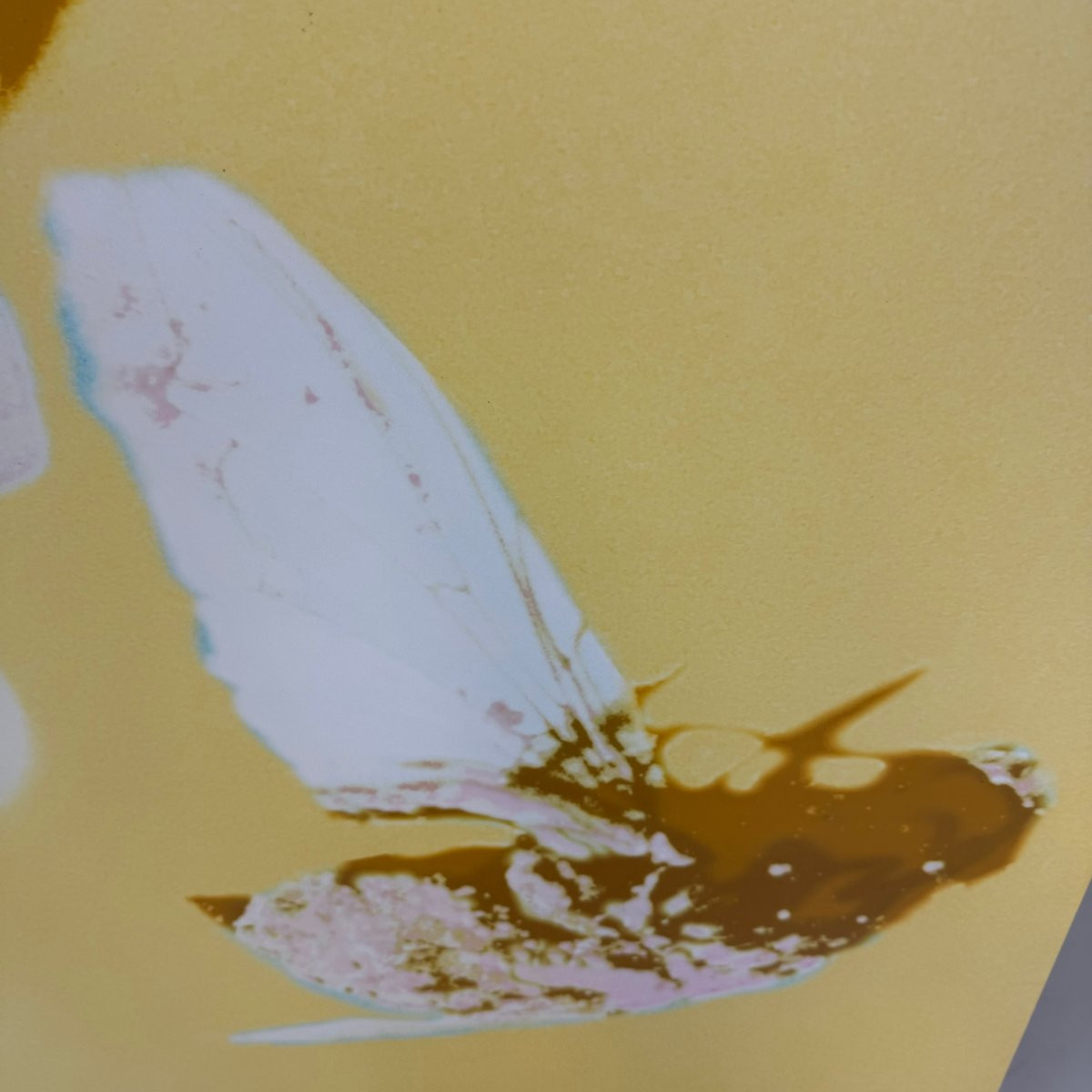 Sin III de Francesca Martí-photo-4