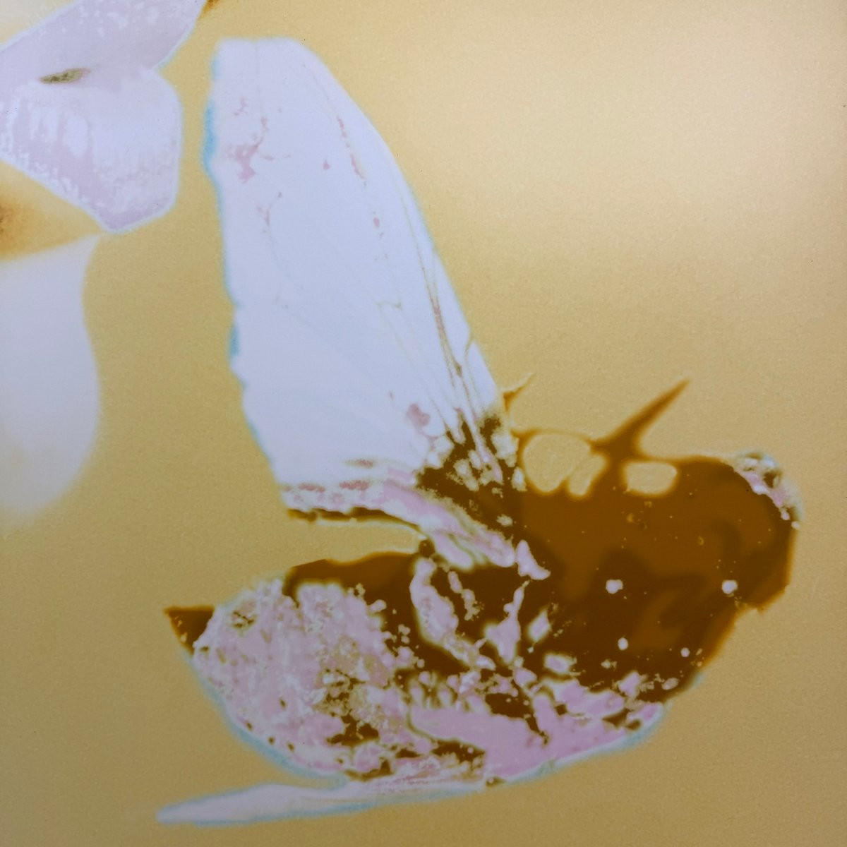 Sin III de Francesca Martí-photo-1