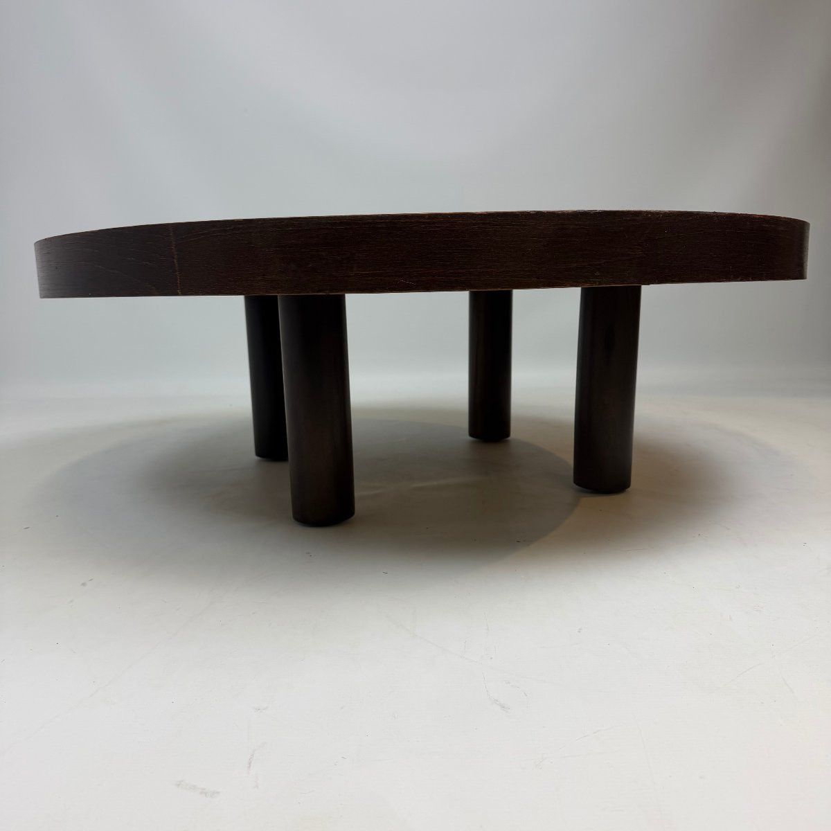 Roger Capron "herbarium" Coffee Table -photo-3