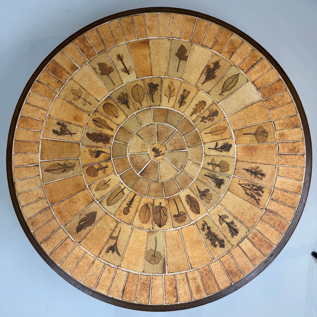 Roger Capron "herbarium" Coffee Table -photo-1