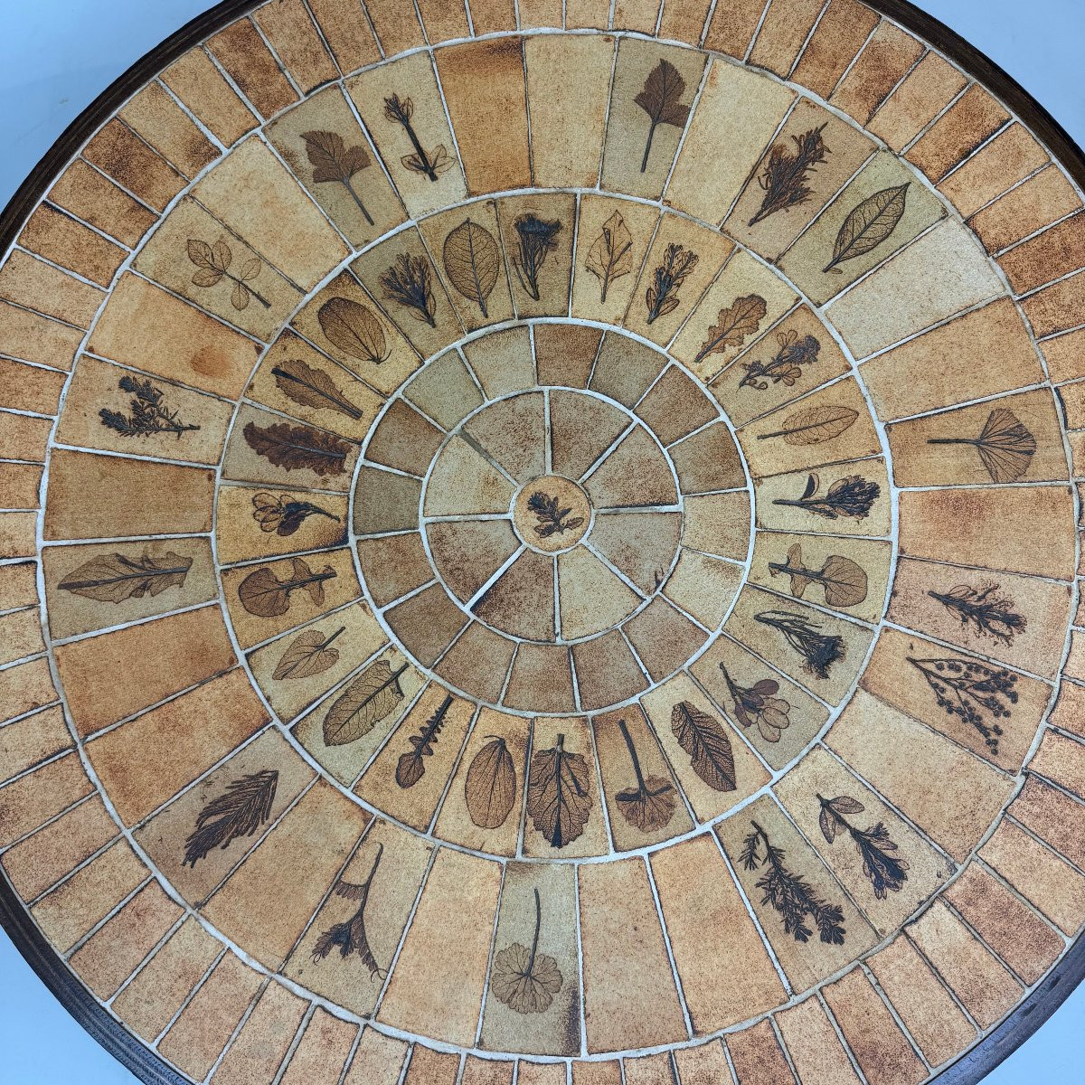 Roger Capron "herbarium" Coffee Table -photo-4