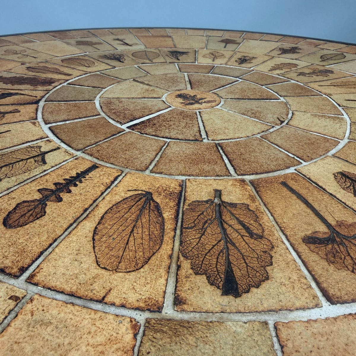 Roger Capron "herbarium" Coffee Table -photo-5