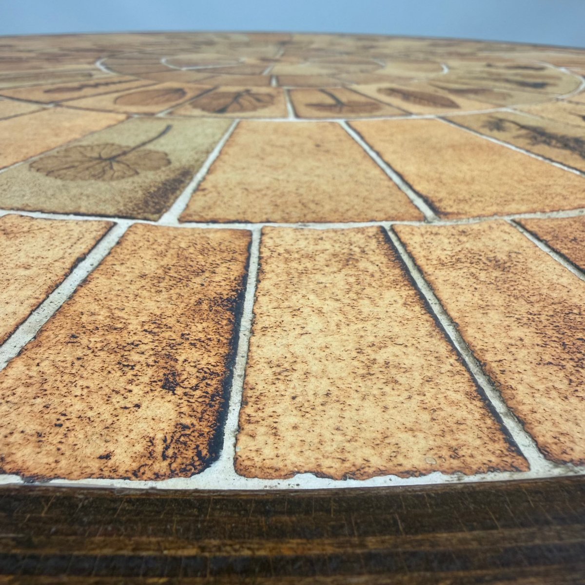 Roger Capron "herbarium" Coffee Table -photo-6