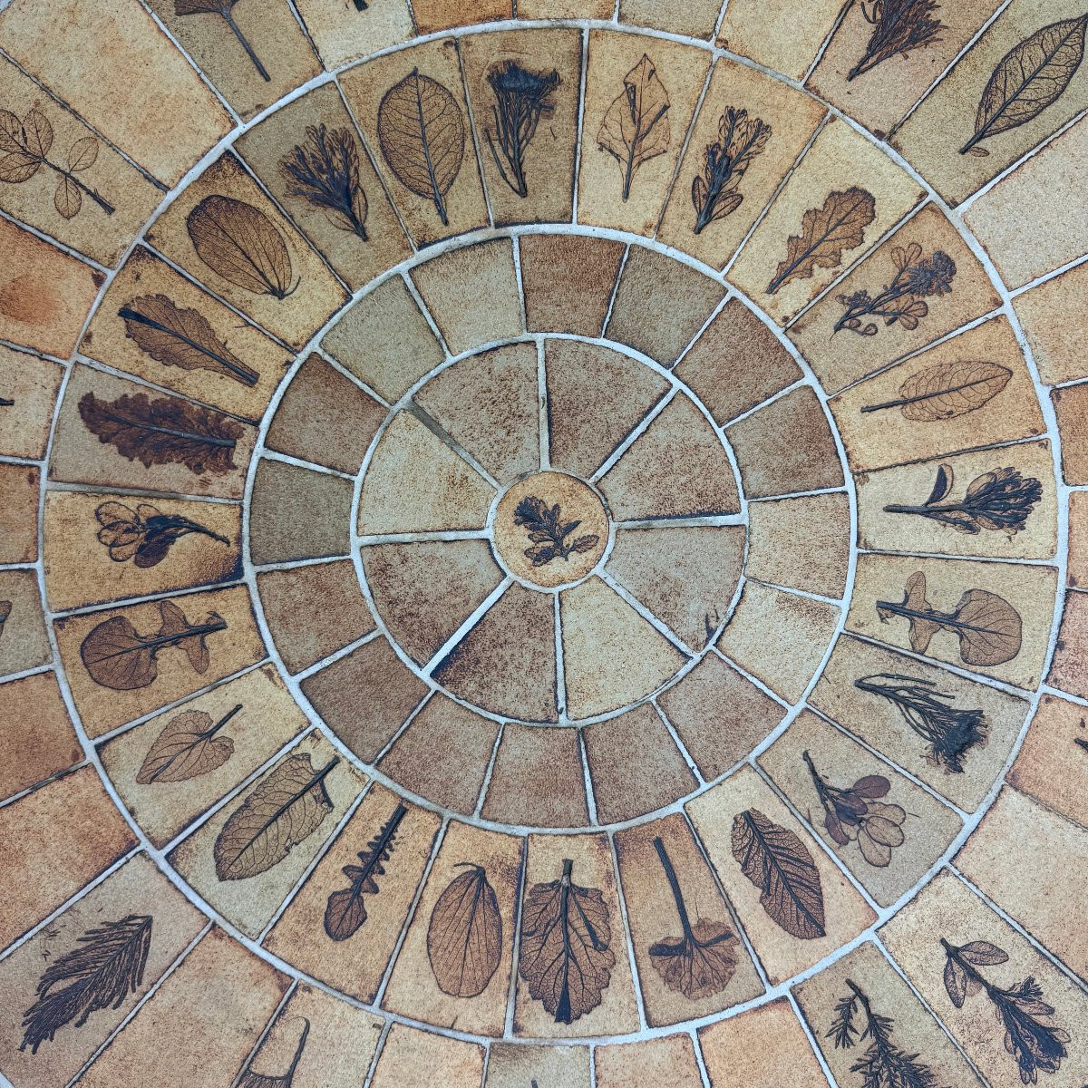 Roger Capron "herbarium" Coffee Table -photo-8