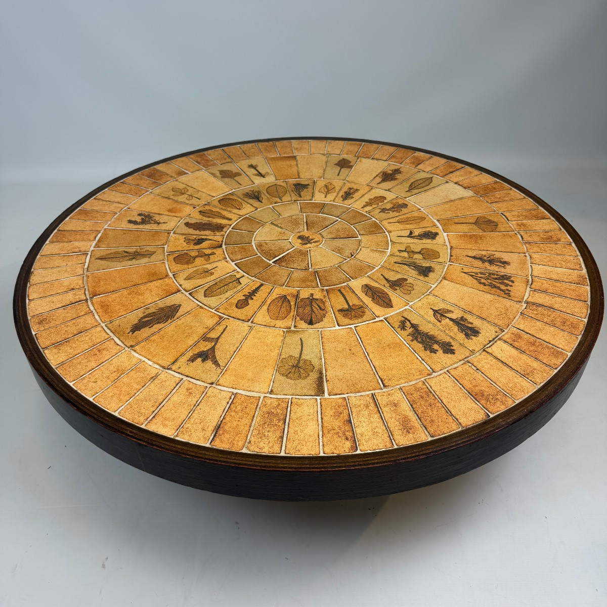 Roger Capron "herbarium" Coffee Table 