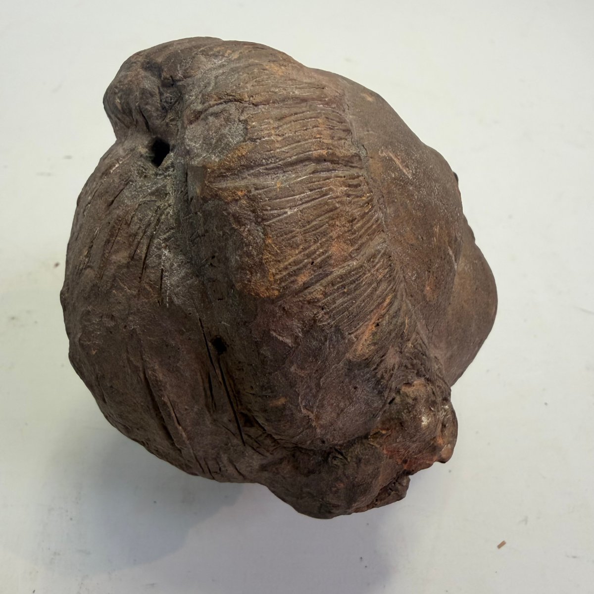 Fragmentary Terracotta Bust Head -photo-5
